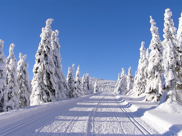 Riesengebirge