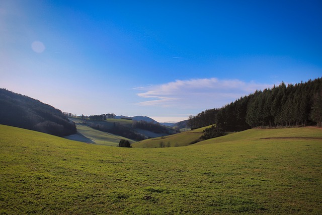 Schwarzwald