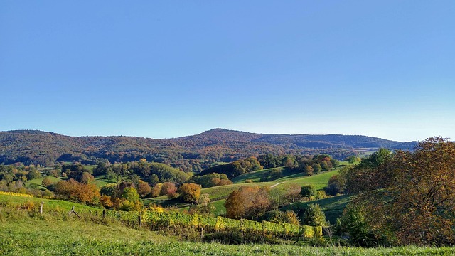 Odenwald & Heidelberg