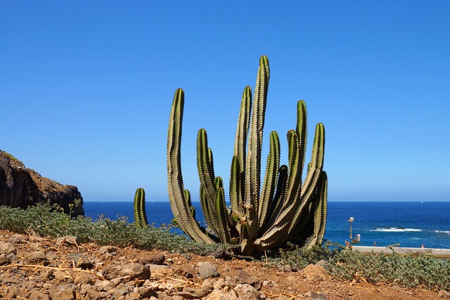 Teneriffa Wandern