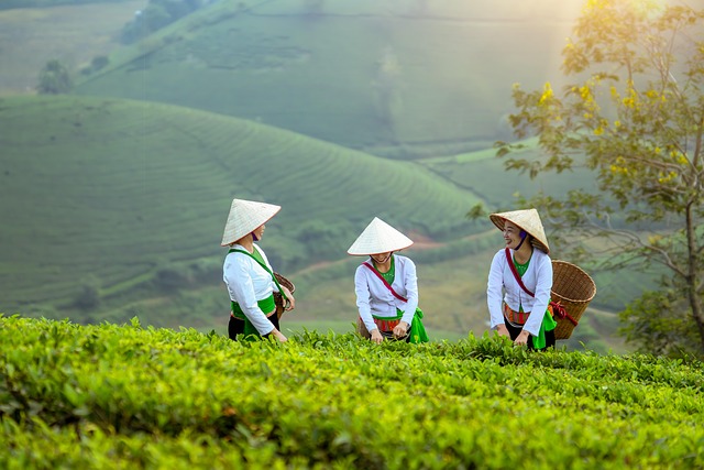Vietnam & Kambodscha