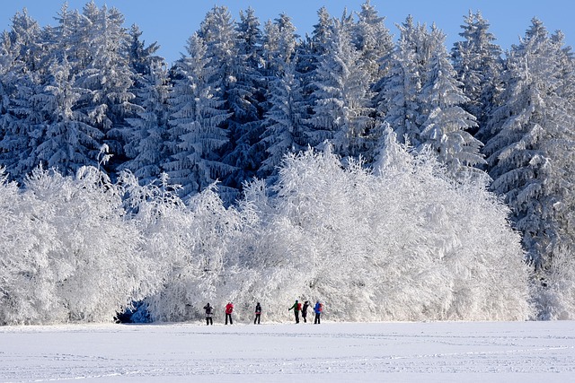 Frankenwald
