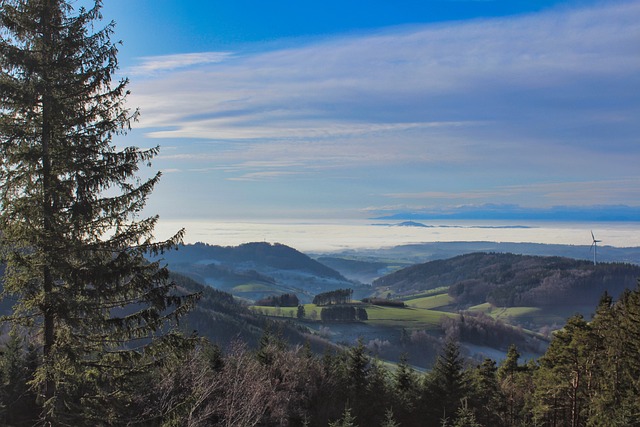 Schwarzwald